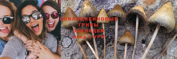 МДПВ Карпинск