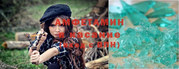стаф Козловка