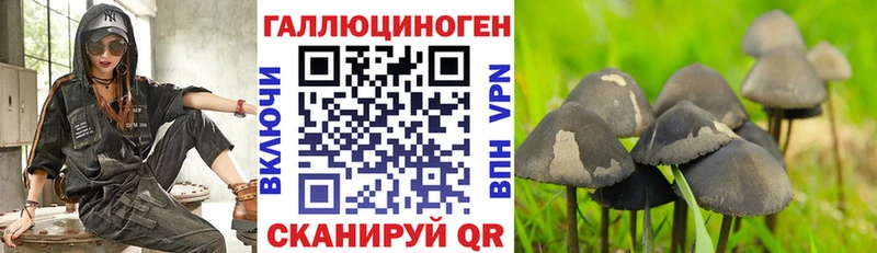 МЕГА вход  Коммунар  Псилоцибиновые грибы GOLDEN TEACHER 