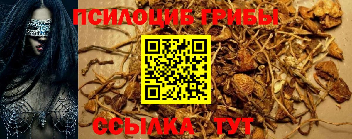 Галлюциногенные грибы GOLDEN TEACHER Коммунар